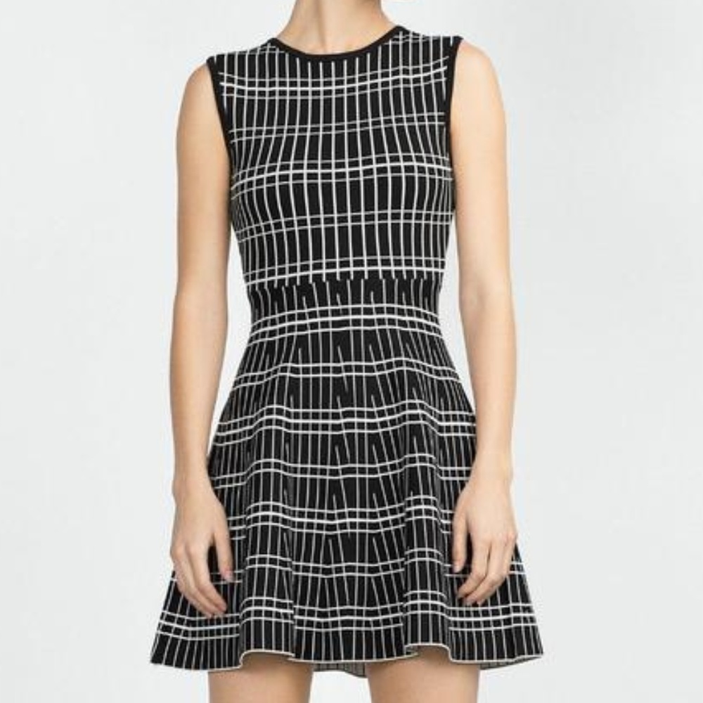 Zara Black and White Fit and Flare Dress